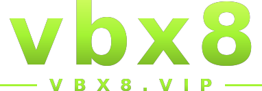 vbx8 logo